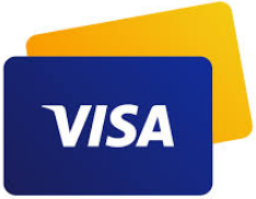 Do you know all about using Visa payments?